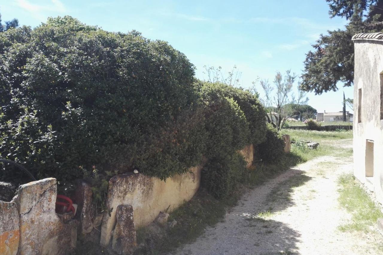 Mas De "La Garcine" Βίλα Mazan Εξωτερικό φωτογραφία
