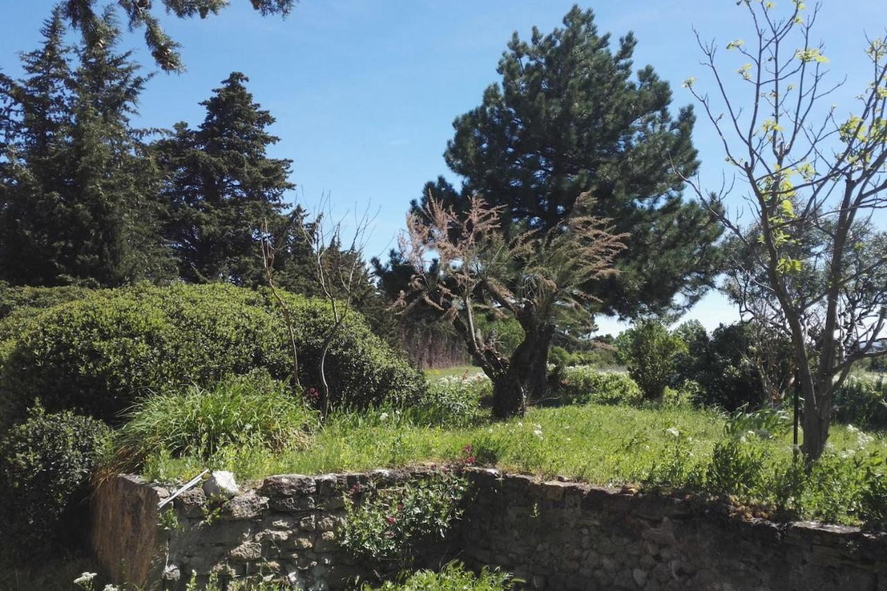 Mas De "La Garcine" Βίλα Mazan Εξωτερικό φωτογραφία