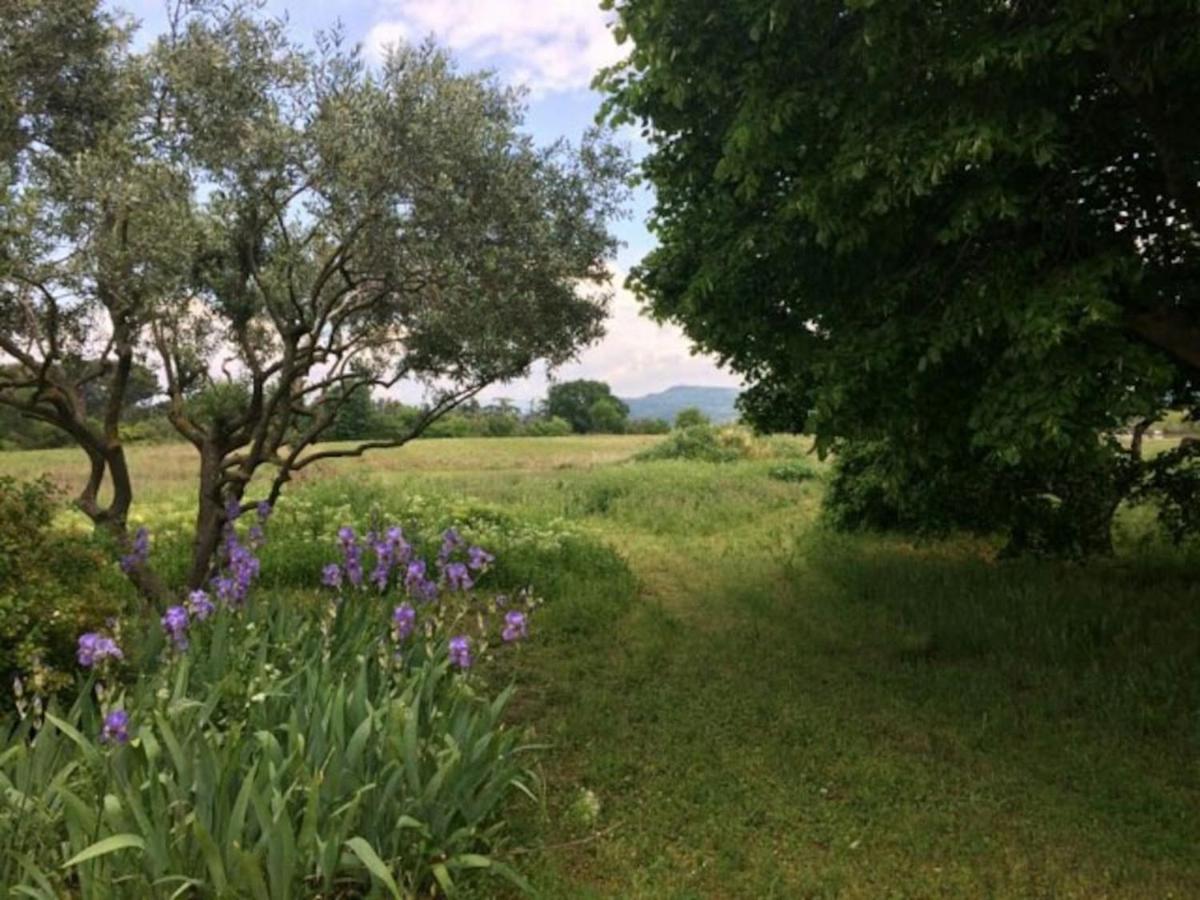 Mas De "La Garcine" Βίλα Mazan Εξωτερικό φωτογραφία