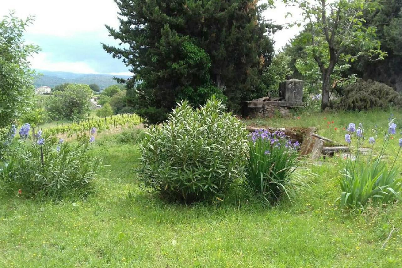 Mas De "La Garcine" Βίλα Mazan Εξωτερικό φωτογραφία