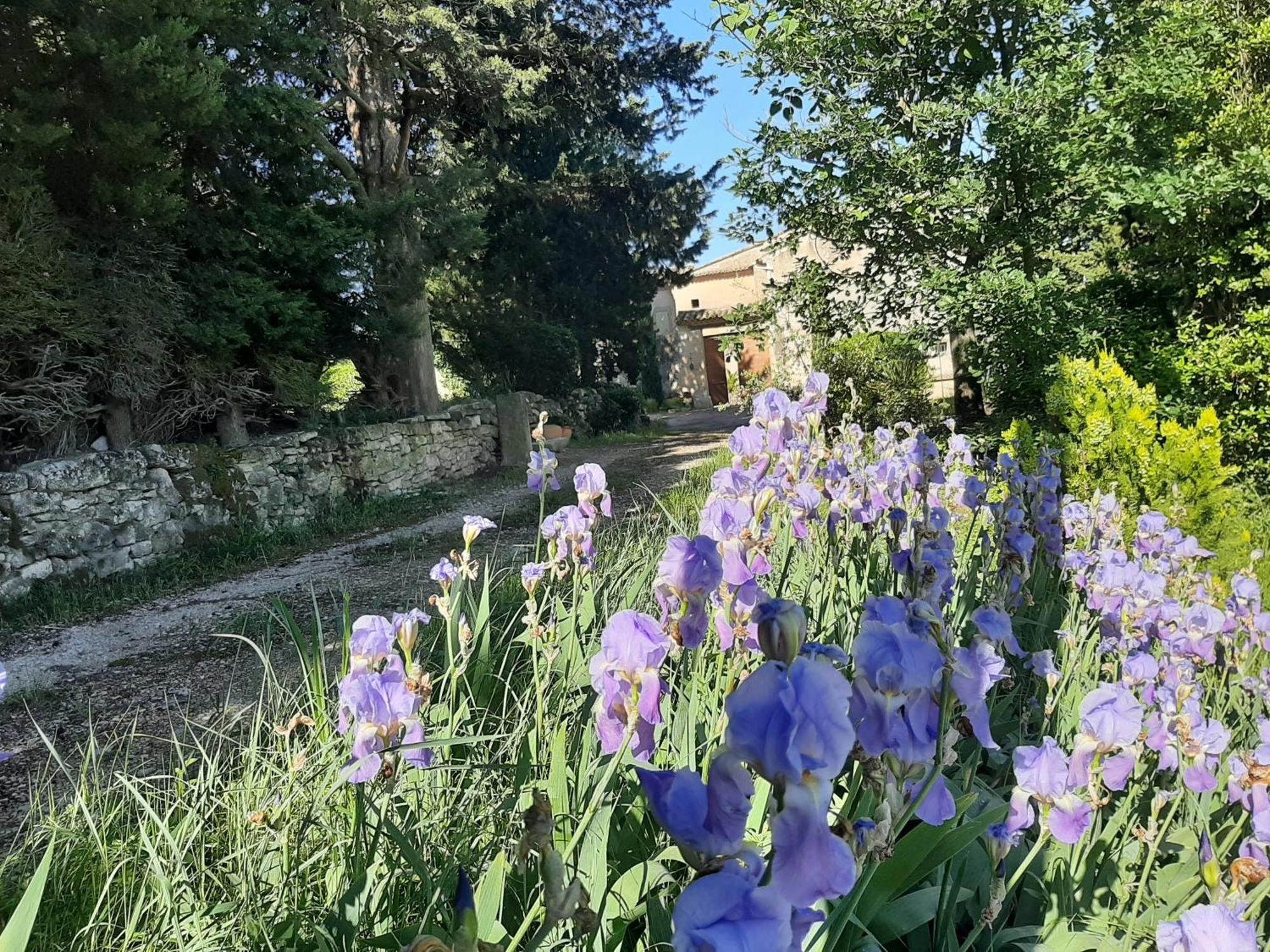 Mas De "La Garcine" Βίλα Mazan Εξωτερικό φωτογραφία